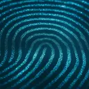 Festival Drop — Tech House